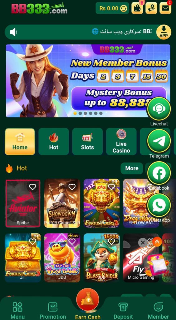 bb333 game